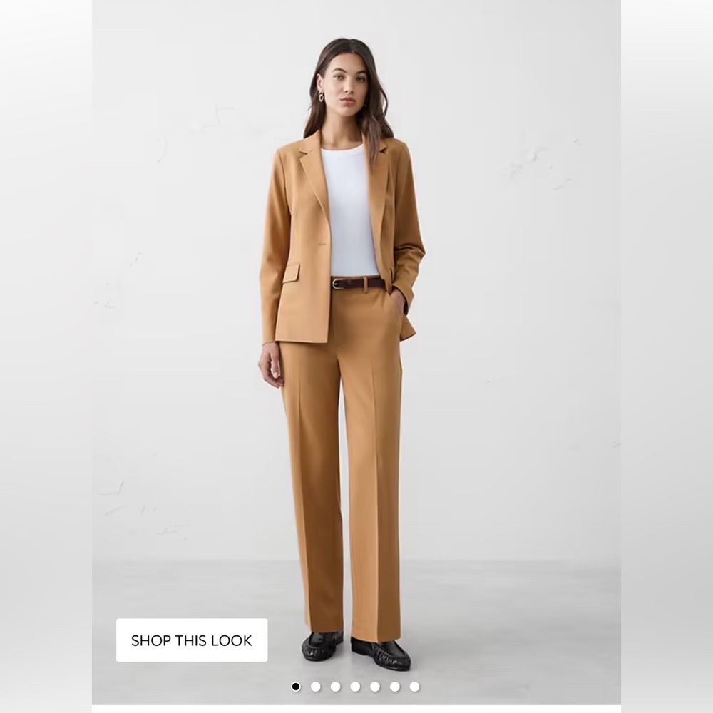 Banana Republic Camel Pant. Petite Power Trousers | Modern Workwear | 2P